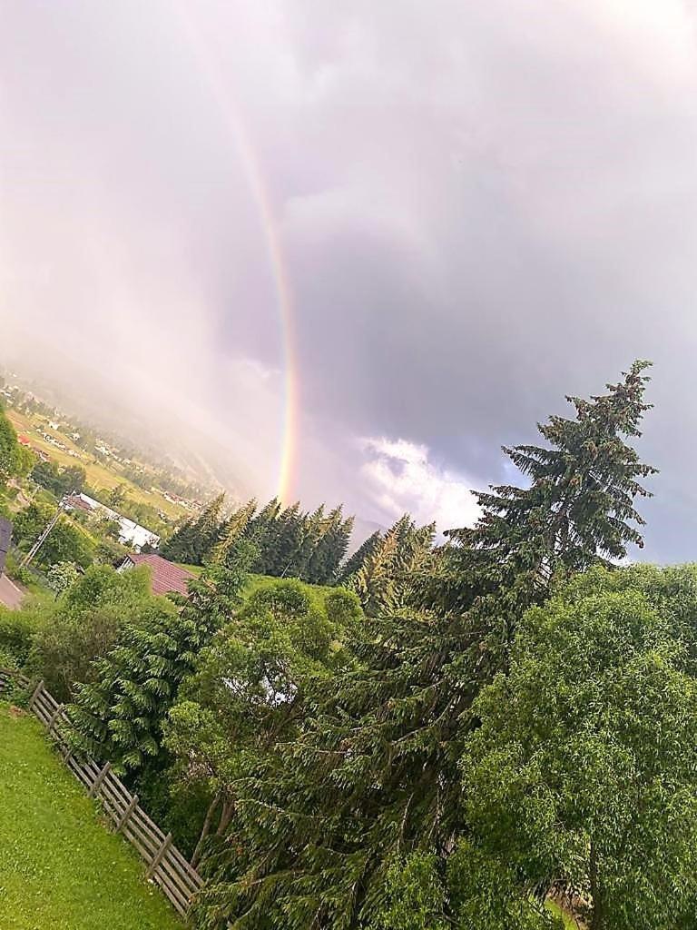 Pensiunea Cassandra Vatra Dornei Exterior foto