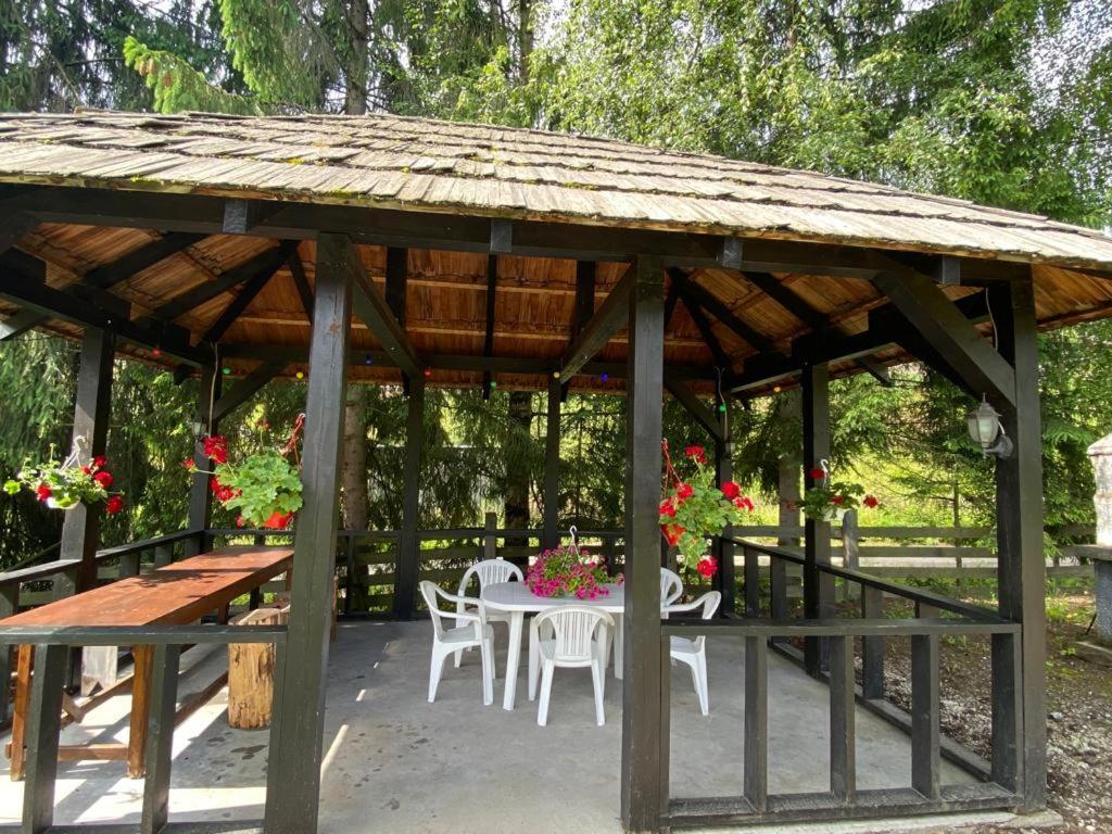 Pensiunea Cassandra Vatra Dornei Exterior foto